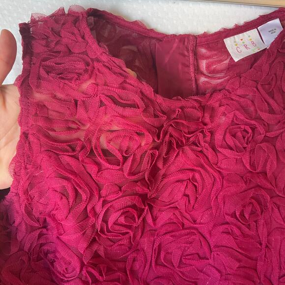 CRB Youth Girl Rose Dress size 16 Deep Pink Sleeveless Knee Length Princess - Picture 7 of 11